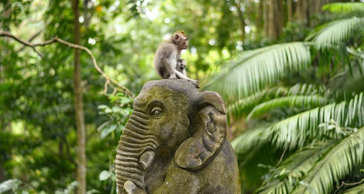 Bali et Florès : Jungle Swing, Dragon de Komodo & Beach Bliss (9 destinations) - journaway 5