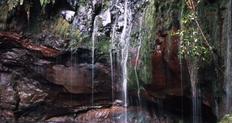 Portugal - Experimental Trip Madeira - More Than Just a "Flower Island" - Travel To Life 2