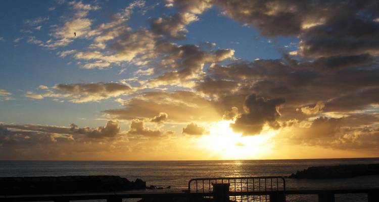 Portugal - Experimental Trip Madeira - More Than Just a "Flower Island" - Travel To Life 3