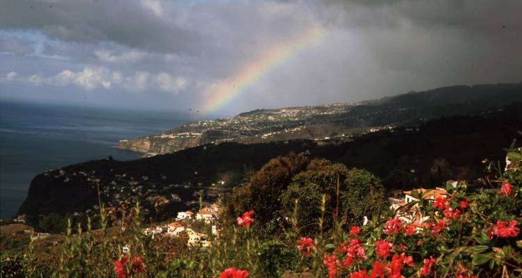Portugal - Experimental Trip Madeira - More Than Just a "Flower Island" - Travel To Life 4