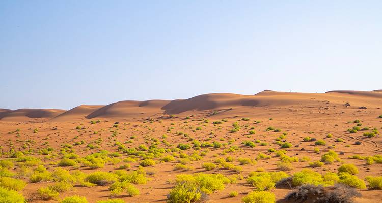 Oman et la mer - Gebeco 2