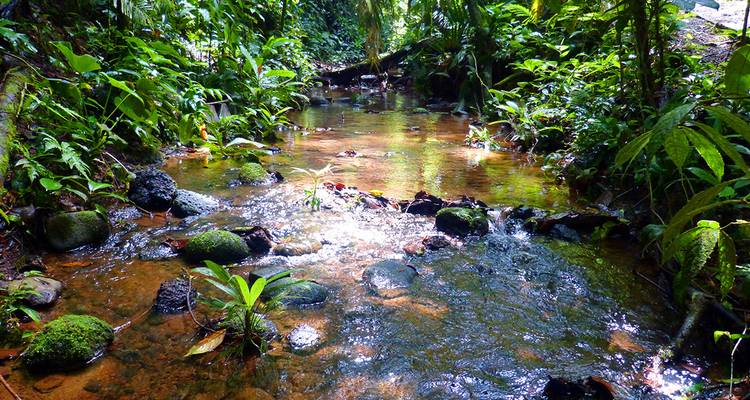 Sur les traces des trésors naturels du Costa Rica - Gebeco 1