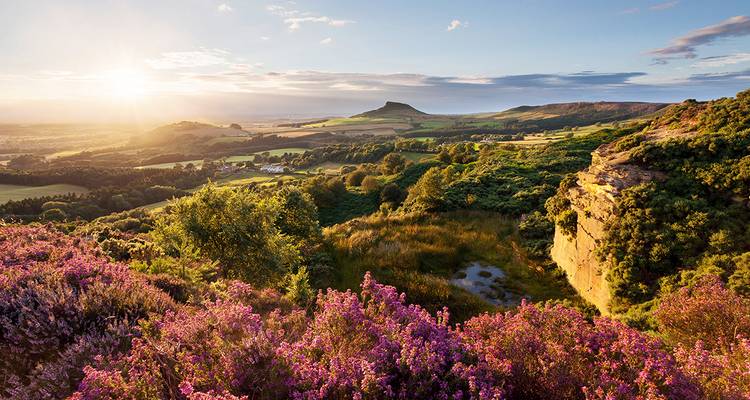Scenic view of a landscape with heather in bloom and rolling hills.