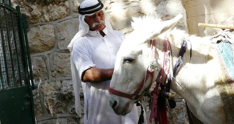 Mann in traditioneller Kleidung mit einem weißen Esel.