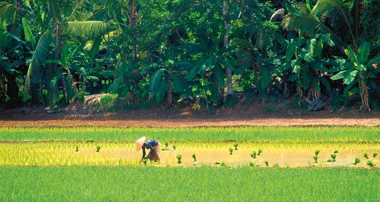 indonesian Diversity on Sumatra, Java and Bali - Gebeco 3