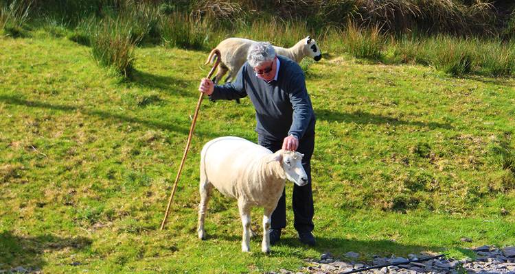 Discover Ireland in Peace - Gebeco 3