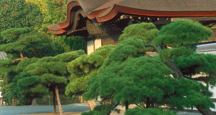 Grand Tour of Japan - Gebeco 1