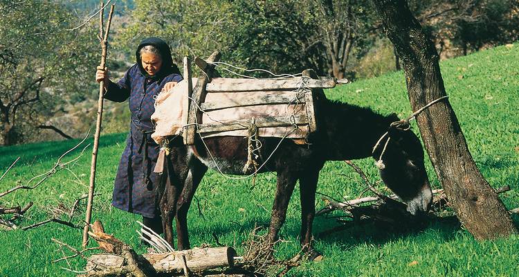 Chypre ─ Culture et mer - Gebeco 1