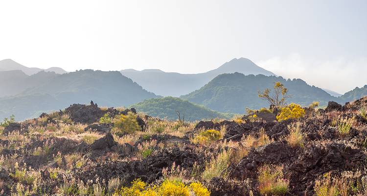 Les points forts de la Sicile entre Palerme et l'Etna - Gebeco 2