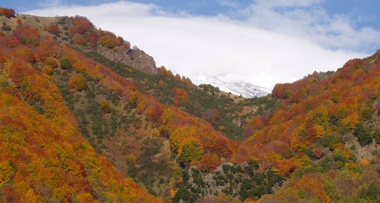 Discover Sicily in Detail - Gebeco 3