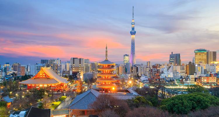 Skyline uitzicht met een traditionele tempel en een hoge toren bij zonsondergang.