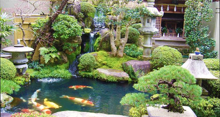Japón para exploradores - Gebeco 3