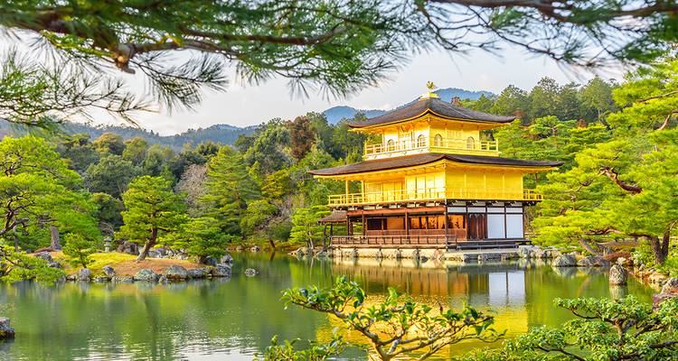 Japón y Corea del Sur: sueños isleños y luces urbanas - Gebeco 3