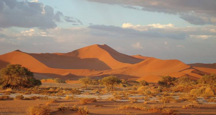 Namibie - Océan Atlantique, dunes et animaux sauvages - Gebeco 1