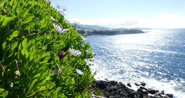 Azores ─ The beautiful Green in the Atlantic - Gebeco 2