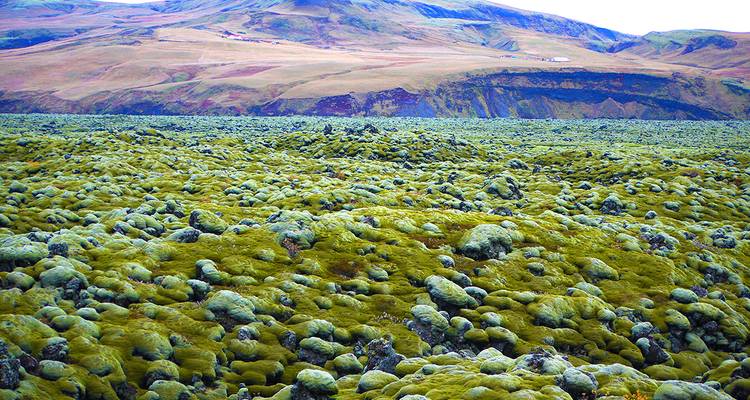 Points forts de l'Islande - Gebeco 2