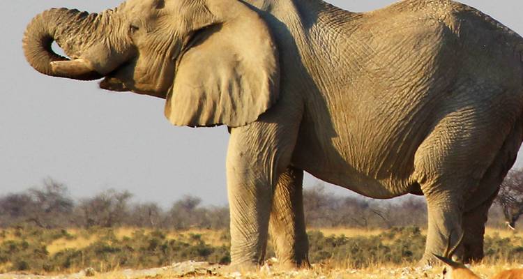 Fascination Namibia - Gebeco 3
