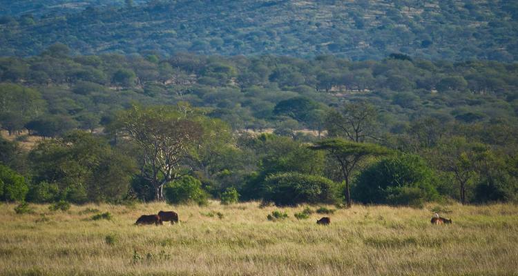 Afrique du Sud et île Maurice - Gebeco 3