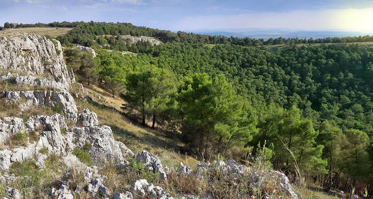 Apulia - Between the Adriatic and the Ionian Sea - Gebeco 5