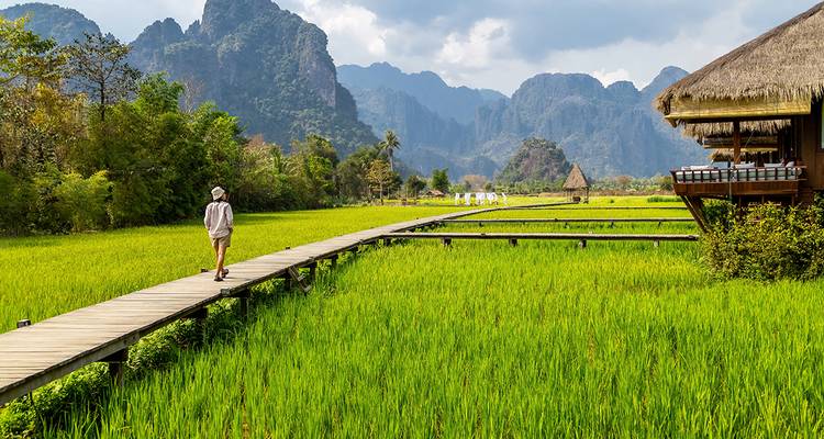 Person, die auf einem Holzweg durch üppige Felder mit Bergen wandelt