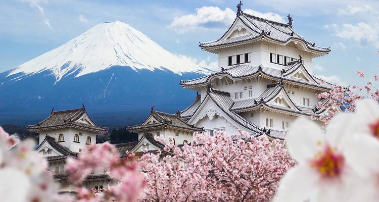 Wunderschöner Blick auf Kirschblüten mit einer traditionellen japanischen Burg und dem Berg Fuji im Hintergrund.