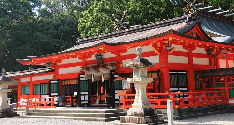 Ein bunt gefärbter traditioneller japanischer Schrein, umgeben von Bäumen.