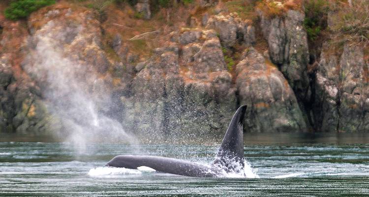 Maravillas naturales del oeste de Canadá - Gebeco 5