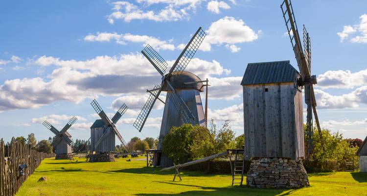 Veld met meerdere traditionele windmolens onder een blauwe hemel.