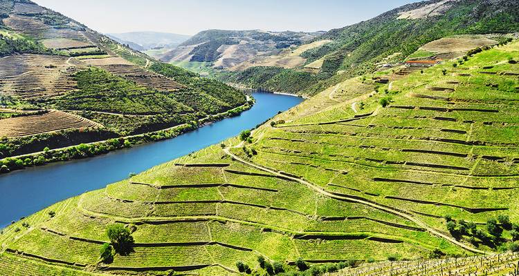 Norte de Portugal - descubre la encantadora Oporto y el encantador Valle del Duero en un grupo reducido - Gebeco 2