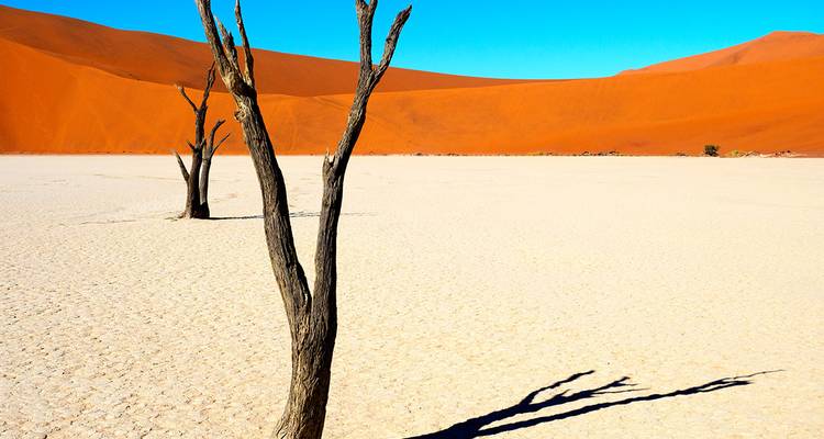 Voyage de découverte de la Namibie - Gebeco 5