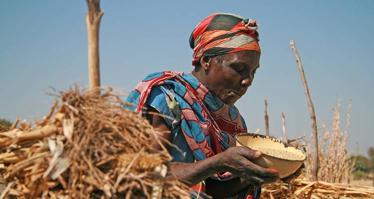 Afrique australe - Paradis naturel sans frontières - Gebeco 5