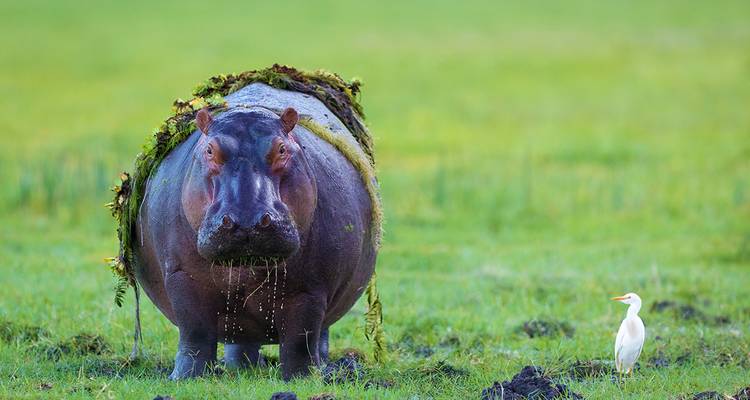 Afrique australe - Paradis naturel sans frontières - Gebeco 1