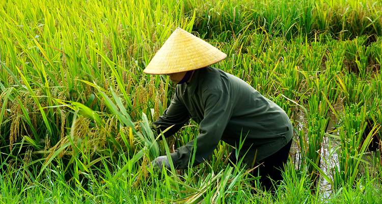 Splendeurs du Vietnam et du Cambodge - Gebeco 3