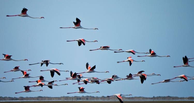 Natural Treasures in Southern Africa - Gebeco 1