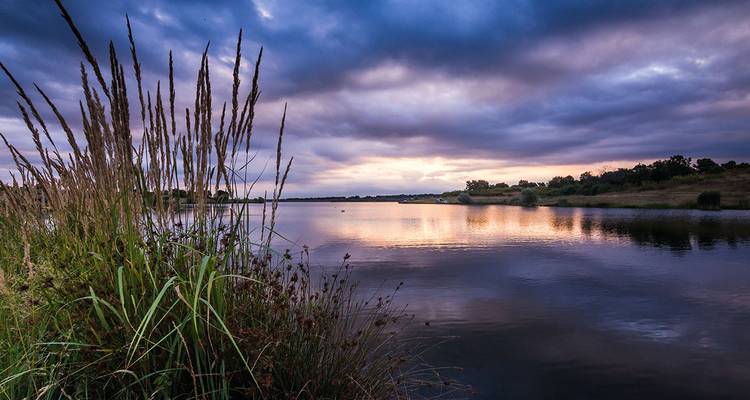 Une scène paisible de rivière au coucher du soleil avec des roseaux au premier plan.