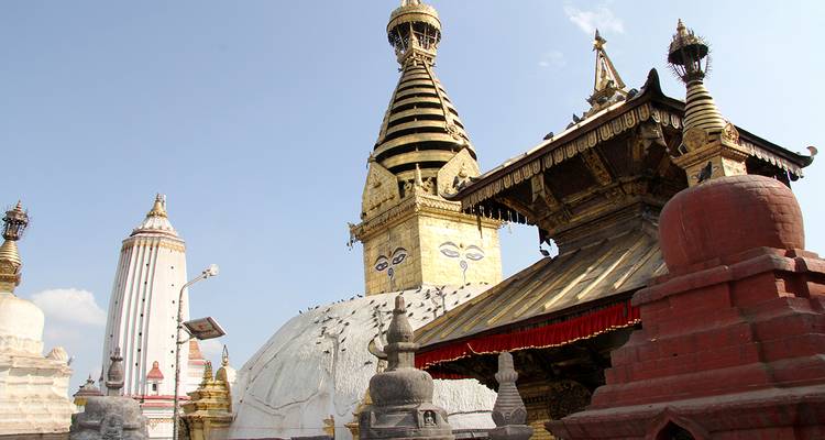 Tempel mit goldener Turmspitze und umliegenden Gebäuden.