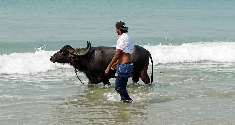 Rencontres dans le sud de l'Inde - Gebeco 1