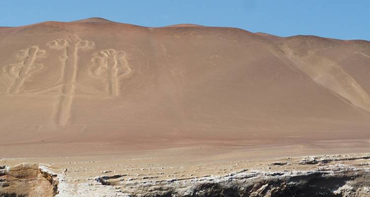 Paracas - desierto y mar - Gebeco 3