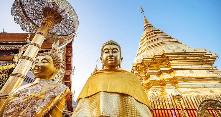 Golden Buddha statues and an ornate golden chedi at Wat Phra That Doi Suthep gleam in bright morning light.