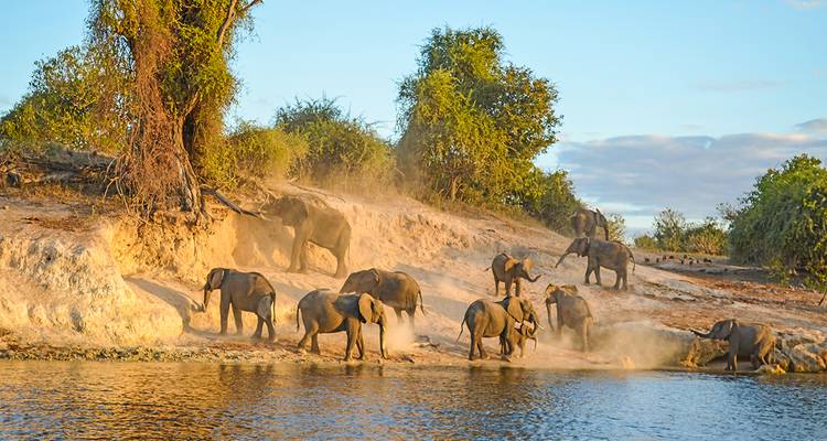 Botswana et Zimbabwe - Fumée tonitruante et delta de l'Okavango - Gebeco 4