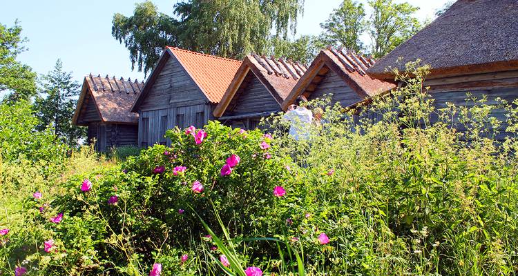 Baltic States ─ with a tailwind Along the Amber Coast - Gebeco 1