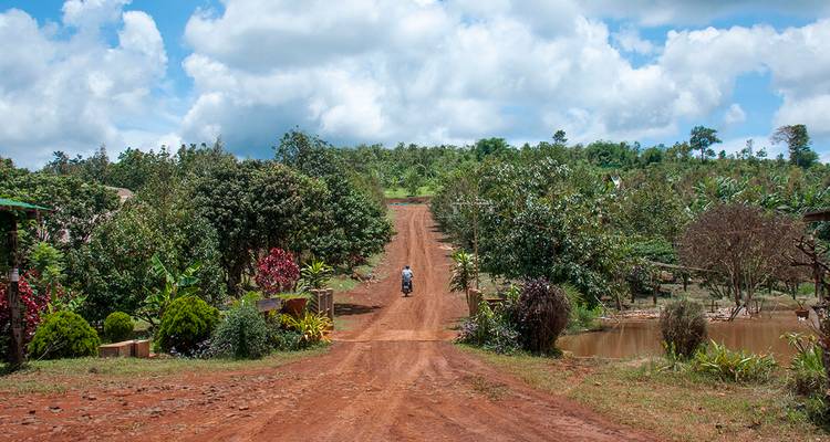 Cambodia - from Angkor to the Pristine Northeast - Gebeco 3