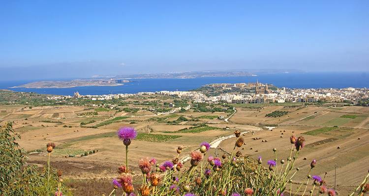 Doble mediterráneo ─ Descubre Malta y Gozo al detalle - Gebeco 1