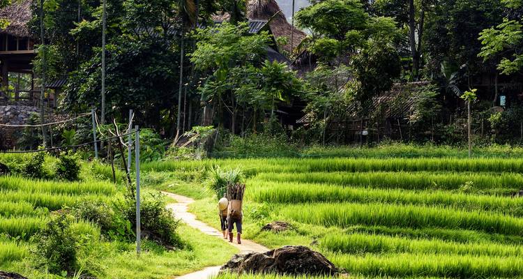 Active and at Leisure Through the Mai - Chau Valley - Gebeco 3