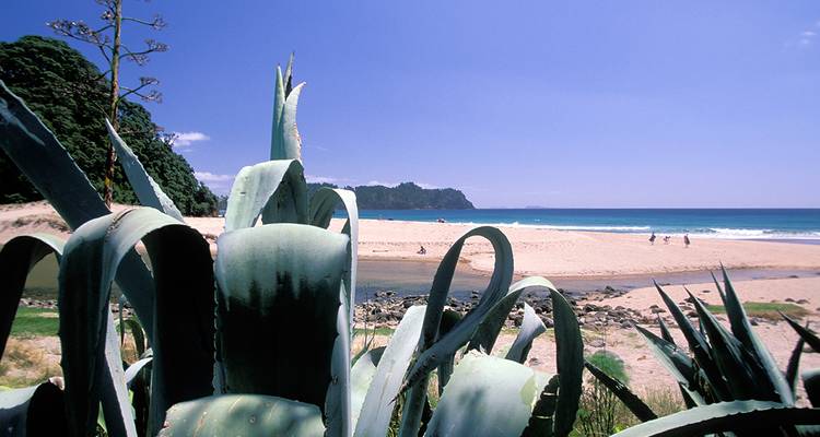 Bay of Islands ─ Îles de la Nouvelle-Zélande - Gebeco 3