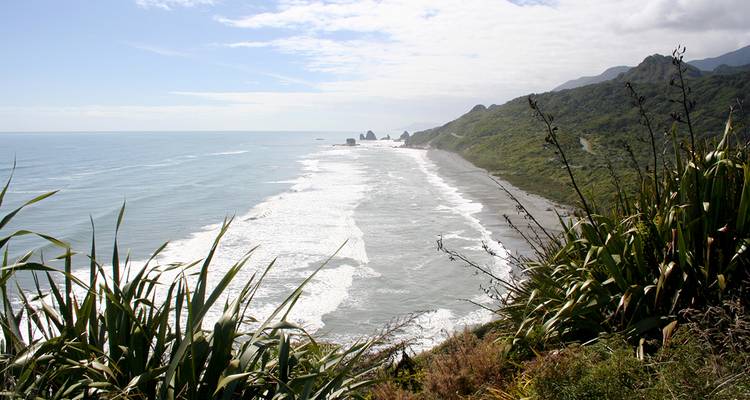 Kaikoura Up Close to the Whales - Gebeco 4