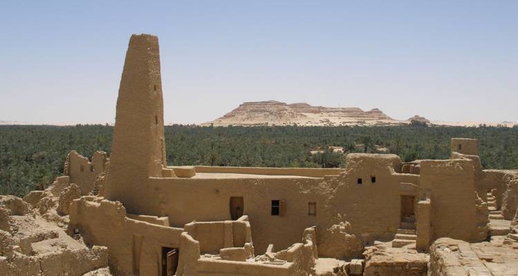 Oude ruïnes met woestijnbergen op de achtergrond.