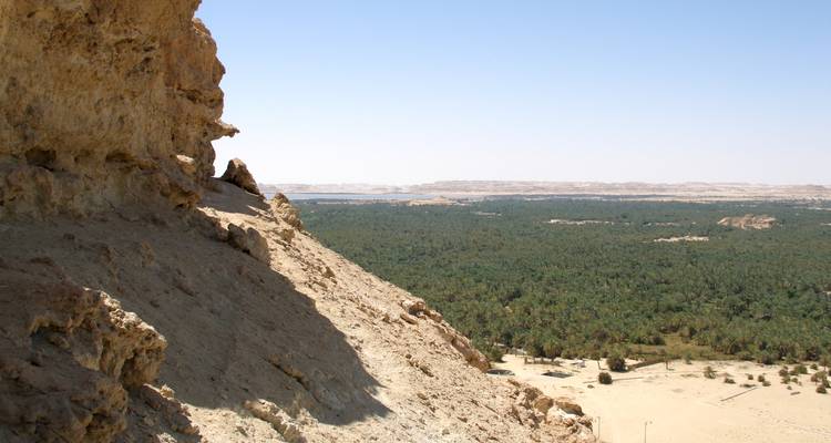 Rotsachtige klif met uitzicht op een woestijnoase.