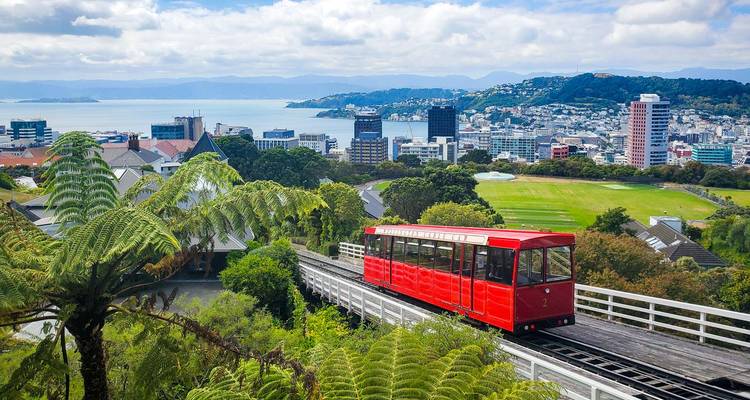 Signature | New Zealand Up Close - Great Journeys New Zealand 4