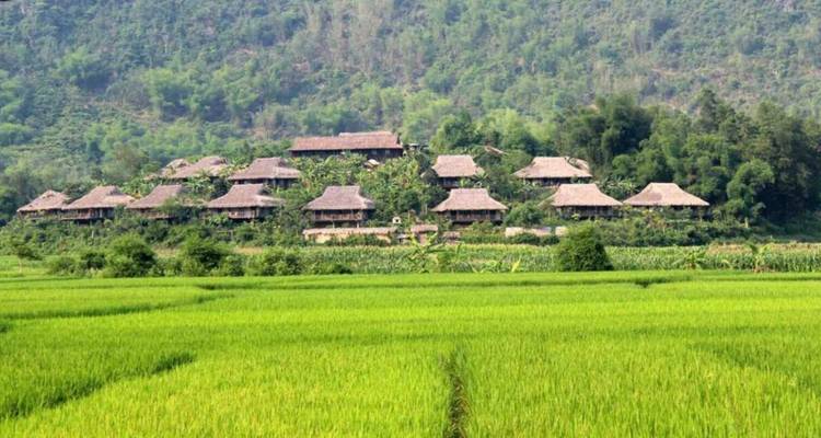Desde Hanói: Aventura de 2 días en Mai Chau y Puluong: bicicleta panorámica, pueblos étnicos y reserva natural - Open Asia Travel  6